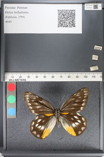 Media type: image;   Entomology 130371